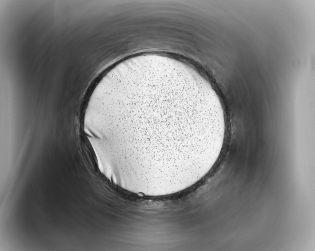 X0000094331505200711301218