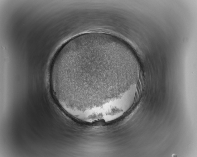 X0000094331506200711301218