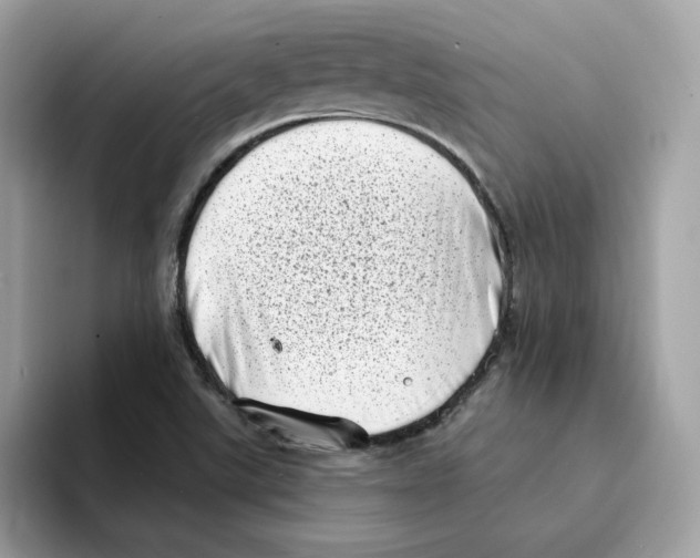 X0000094331507200711301218