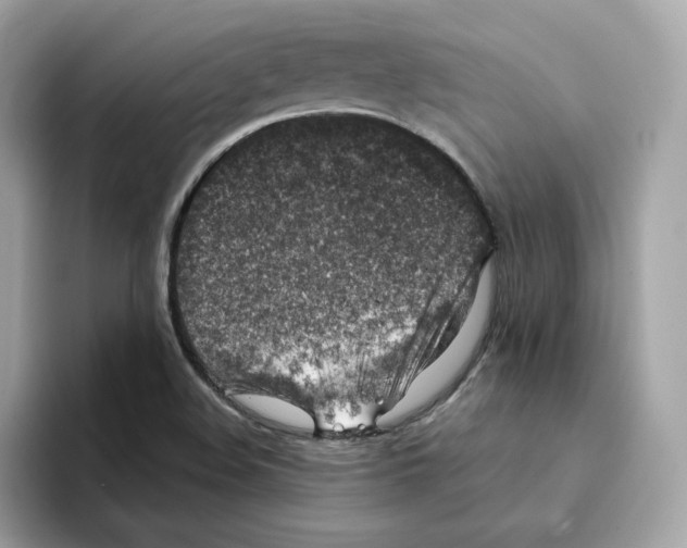 X0000094331508200711301218