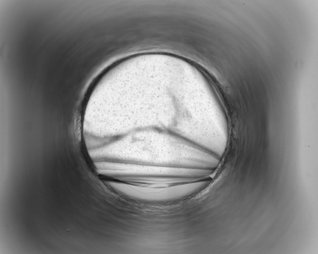 X0000094331510200711301218