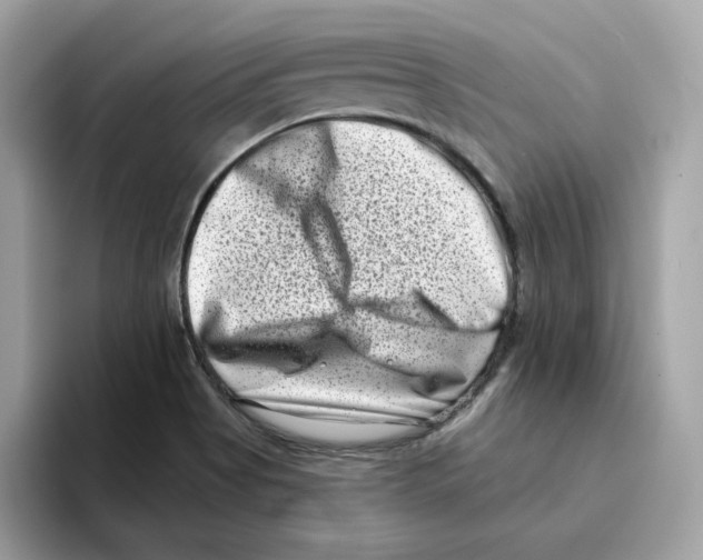 X0000094331513200711301218