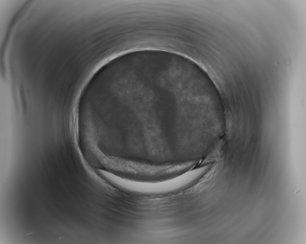 X0000094331515200711301218