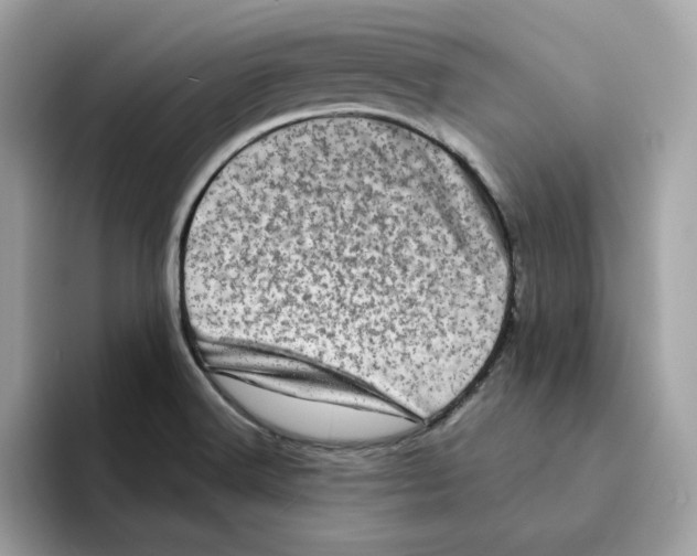 X0000094331516200711301218