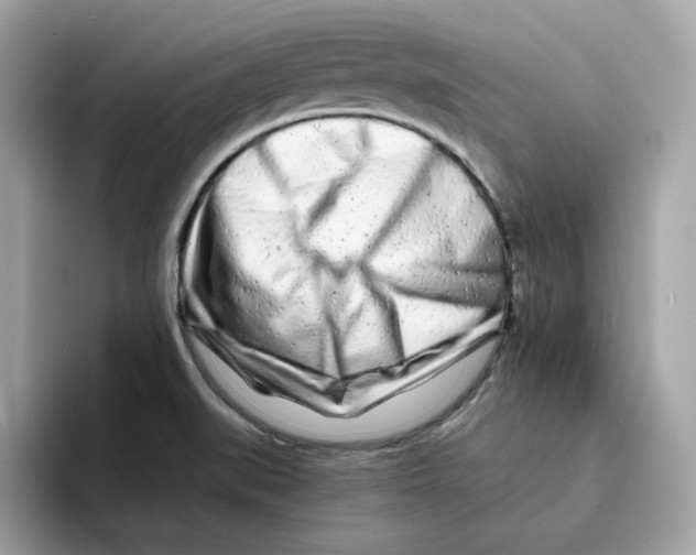 X0000094331519200711301218