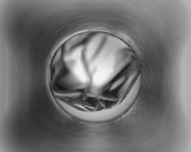 X0000094331520200711301218