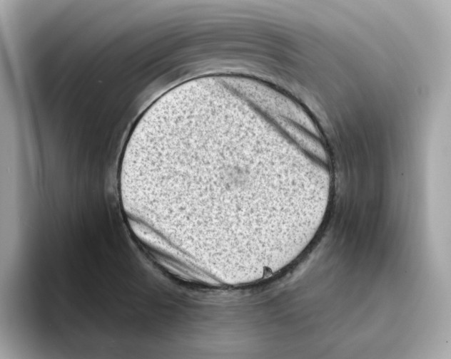 X0000094331521200711301218