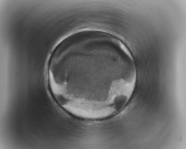 X0000094331522200711301218