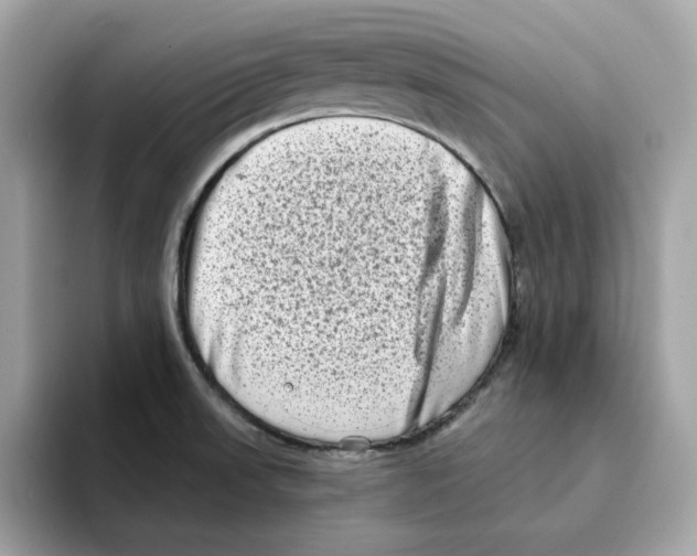 X0000094331523200711301218