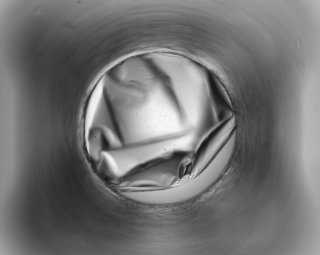 X0000094331524200711301218