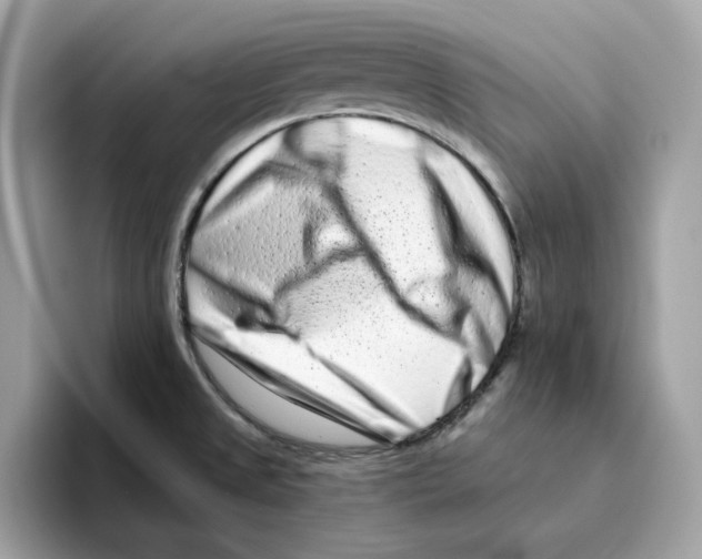 X0000094331525200711301218