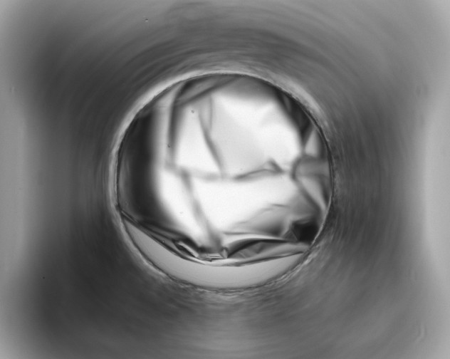 X0000094331528200711301218