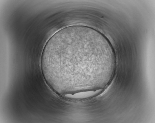 X0000094331529200711301218