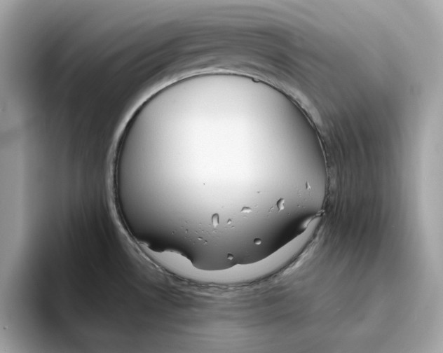 X0000094331530200711301218