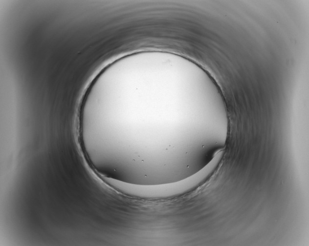 X0000094331531200711301218