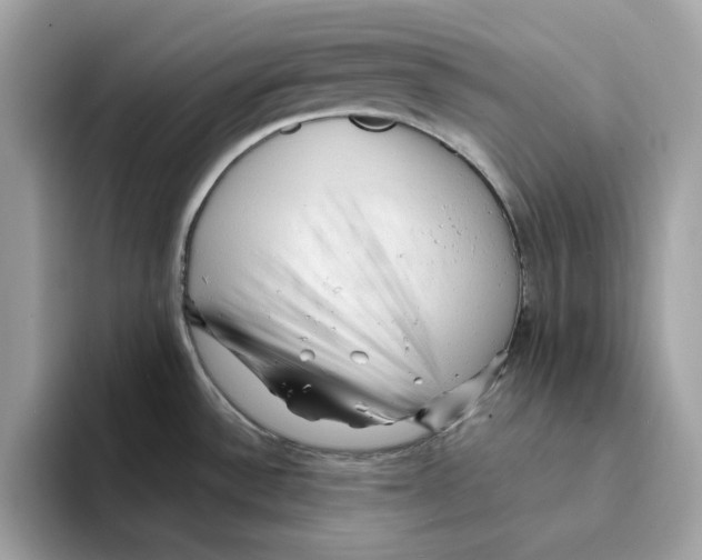 X0000094331532200711301218