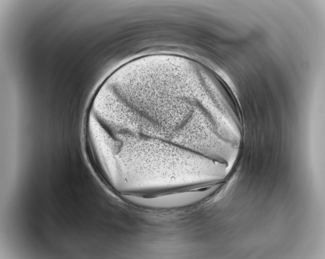 X0000094331533200711301218