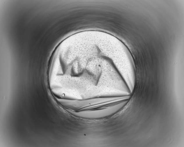 X0000094331534200711301218