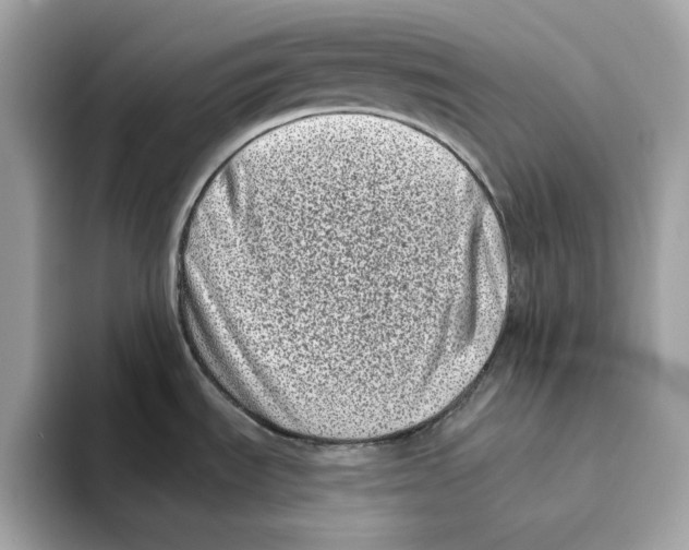 X0000094331535200711301218