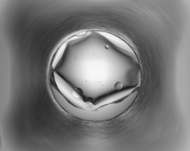 X0000094331536200711301218