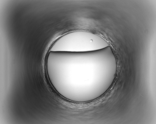 X0000094340006200711021157
