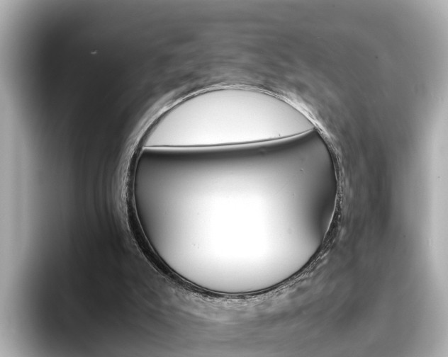 X0000094340007200711021157