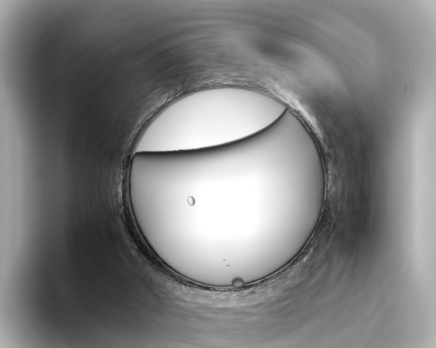 X0000094340010200711021157