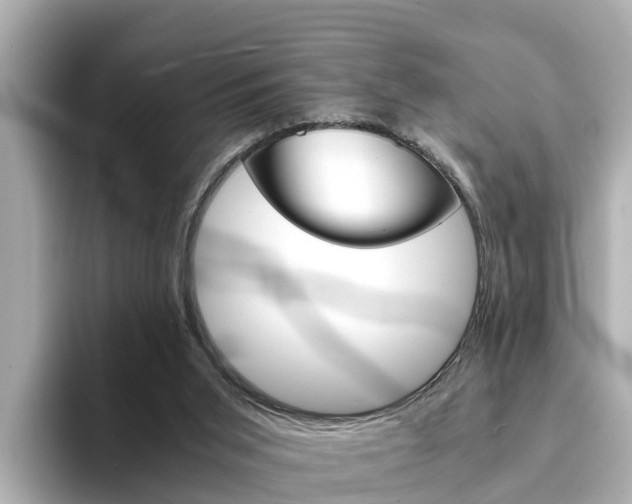 X0000094340015200711021157