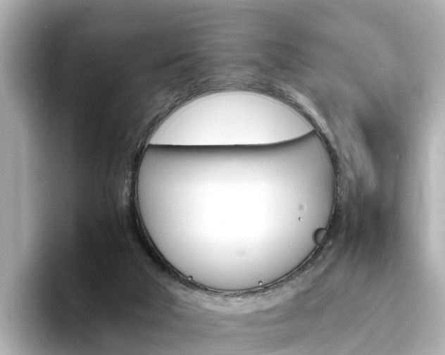X0000094340018200711021157