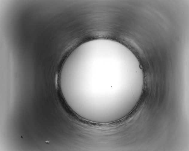 X0000094340024200711021157