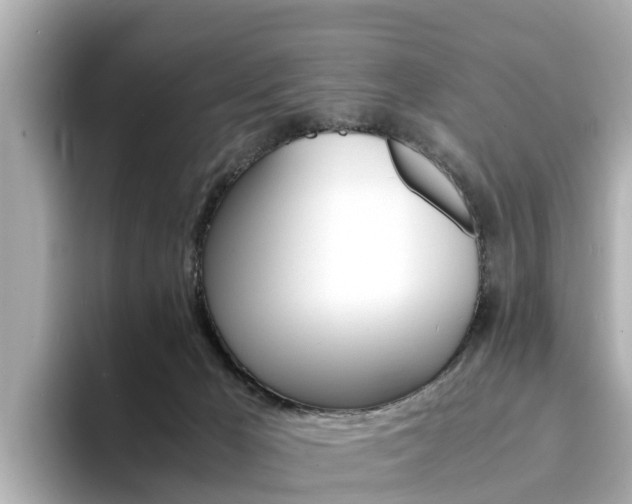 X0000094340029200711021157