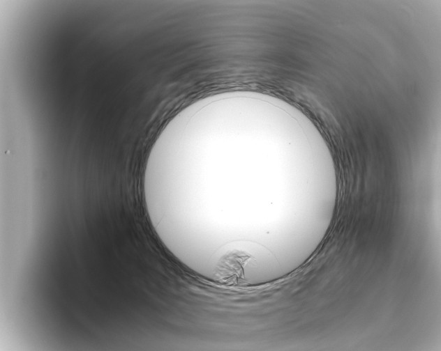 X0000094340035200711021157