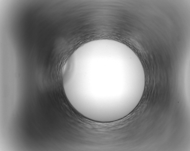 X0000094340039200711021157