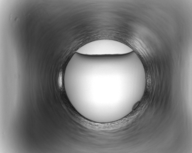 X0000094340046200711021157