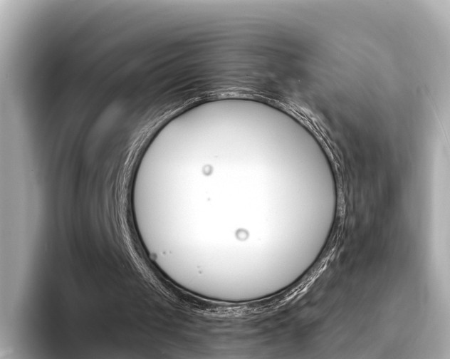 X0000094340049200711021156