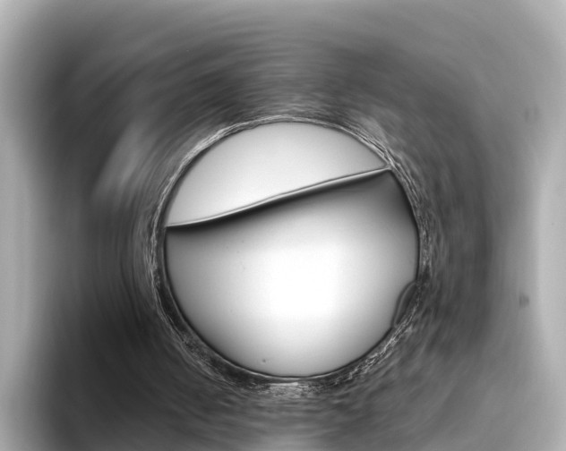 X0000094340050200711021156