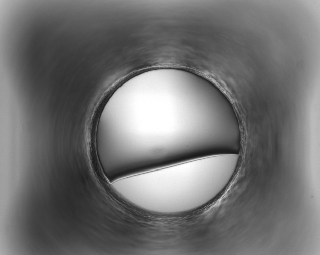 X0000094340055200711021156
