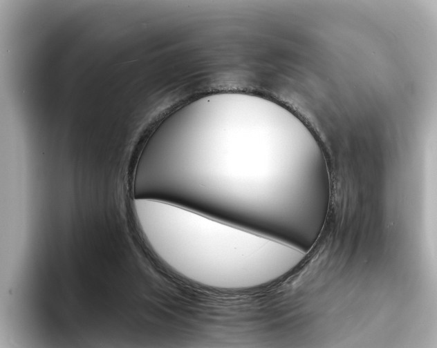 X0000094340063200711021156