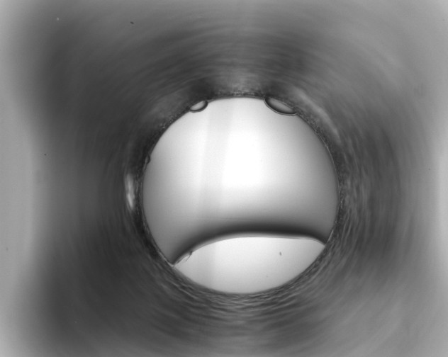 X0000094340075200711021157
