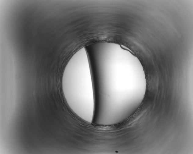 X0000094340085200711021157
