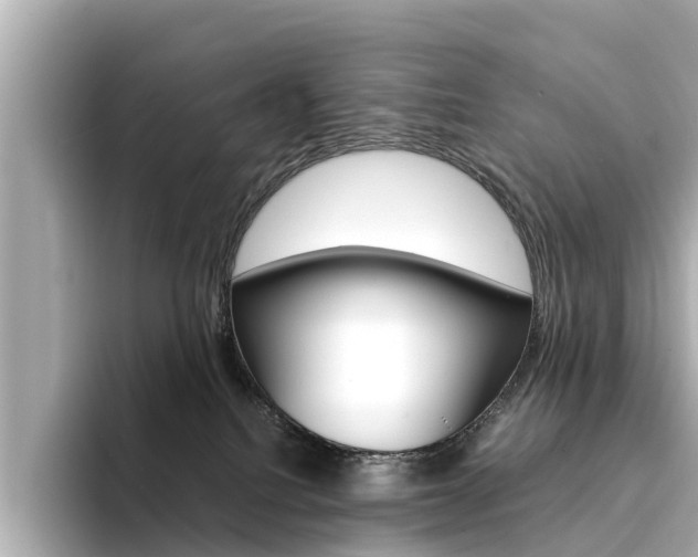 X0000094340088200711021157