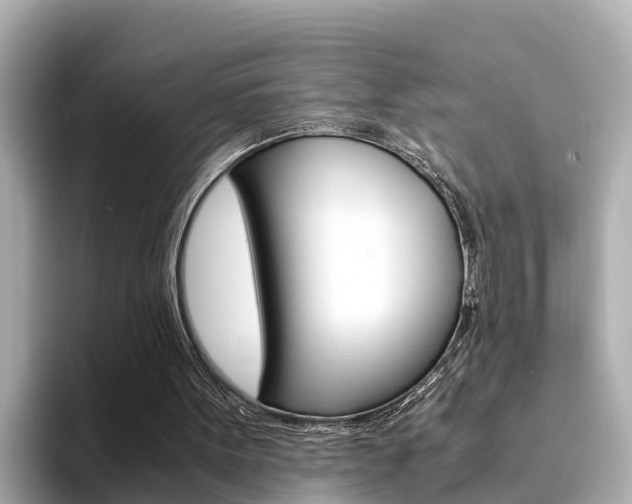 X0000094340099200711021156