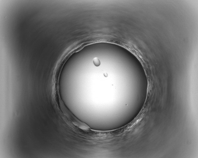 X0000094340101200711021156