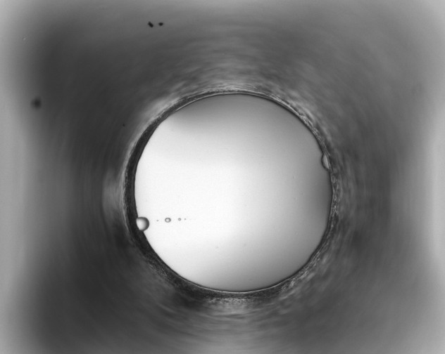 X0000094340104200711021156