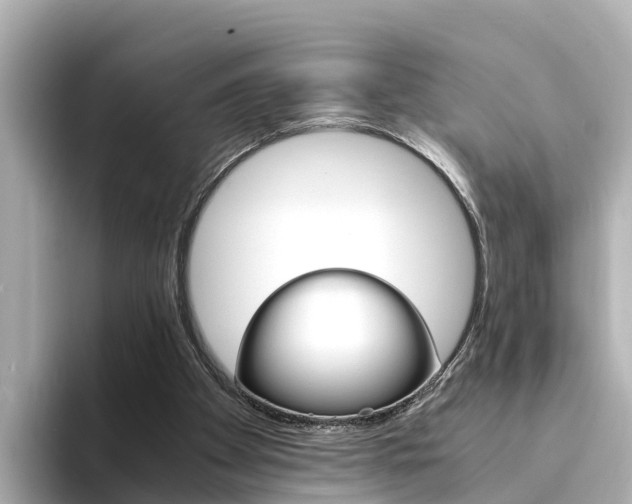 X0000094340105200711021156