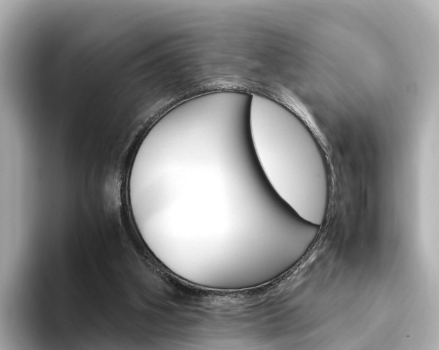 X0000094340106200711021156
