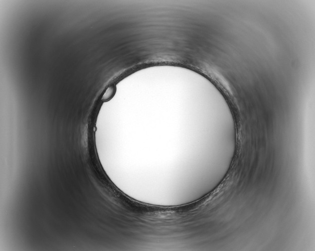 X0000094340108200711021156