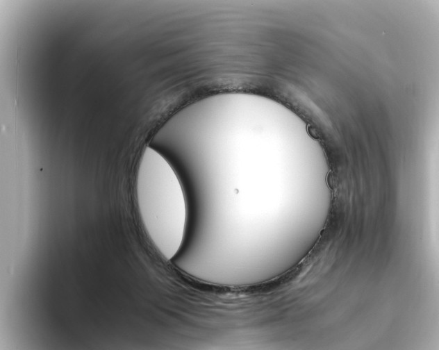X0000094340119200711021156