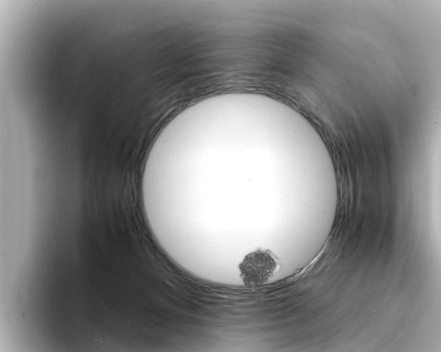 X0000094340128200711021156