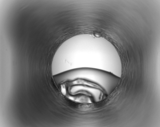 X0000094340129200711021156